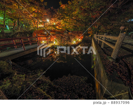 談山神社の紅葉ライトアップ 88937096
