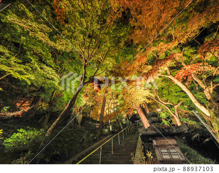 談山神社の紅葉ライトアップ 談山神社の紅葉ライトアップ 88937103