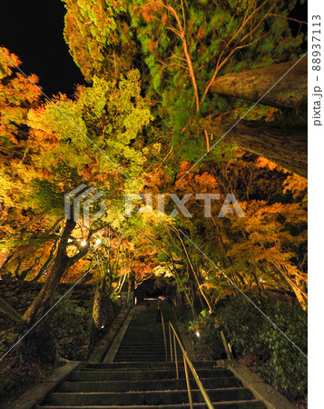 談山神社の紅葉ライトアップ 談山神社の紅葉ライトアップ 88937113