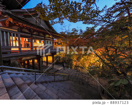 談山神社の紅葉ライトアップ 談山神社の紅葉ライトアップ 88937123