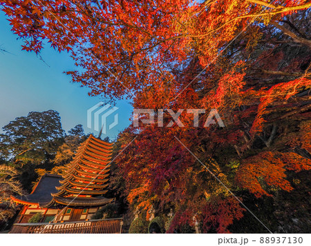 談山神社の紅葉ライトアップ 談山神社の紅葉ライトアップ 88937130