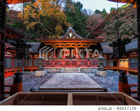 談山神社の紅葉ライトアップ 88937136