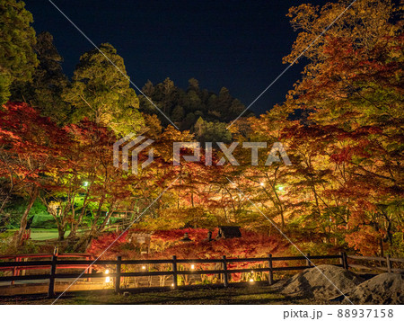 談山神社の紅葉ライトアップ 談山神社の紅葉ライトアップ 88937158