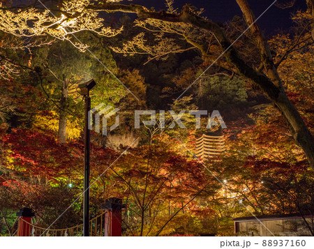 談山神社の紅葉ライトアップ 談山神社の紅葉ライトアップ 88937160