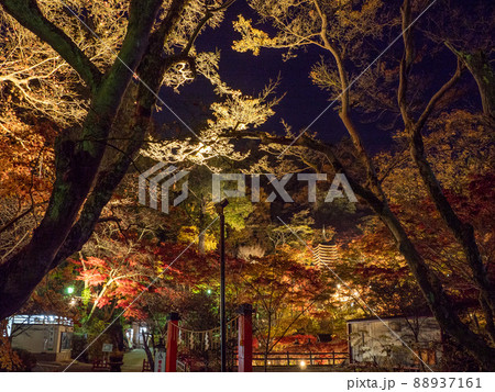 談山神社の紅葉ライトアップ 談山神社の紅葉ライトアップ 88937161