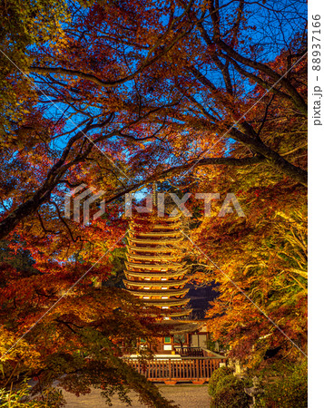 談山神社の紅葉ライトアップ 談山神社の紅葉ライトアップ 88937166