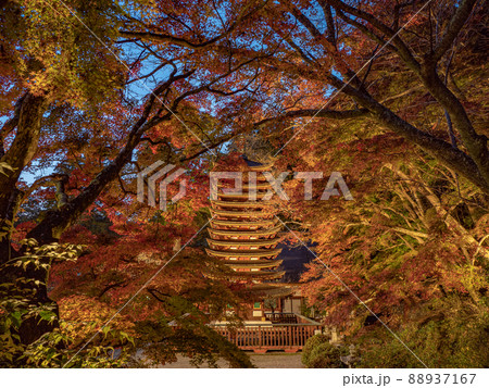 談山神社の紅葉ライトアップ 88937167