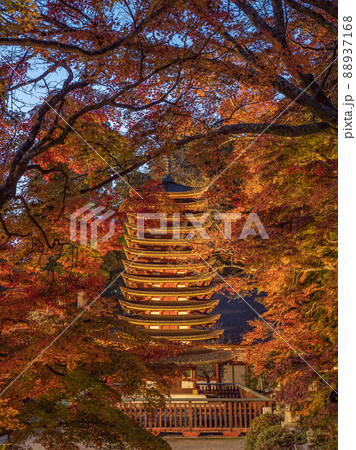 談山神社の紅葉ライトアップ 談山神社の紅葉ライトアップ 88937168