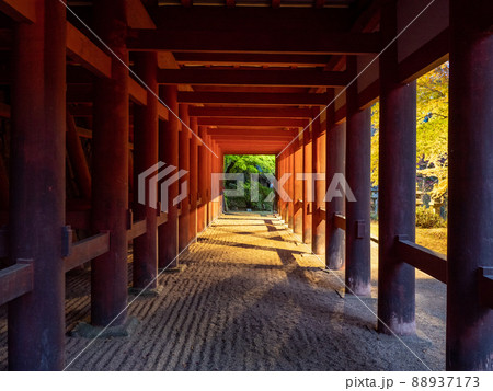談山神社の紅葉ライトアップ 談山神社の紅葉ライトアップ 88937173