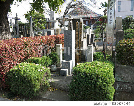 文京区の伝通院にある佐藤春夫の墓 88937544