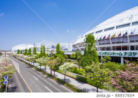 バンテリンドームナゴヤ（ナゴヤドーム）とハナミズキ 88937604