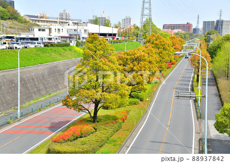 都立 小山内裏公園より【多摩ニュータウン通り】南大沢駅方面を望む(東京都八王子市)【2022.4】 都立 小山内裏公園より【多摩ニュータウン通り】南大沢駅方面を望む(東京都八王子市)【2022.4】 88937842