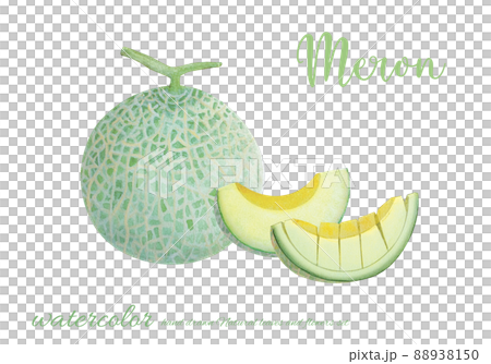 美味的瓜水彩畫 88938150