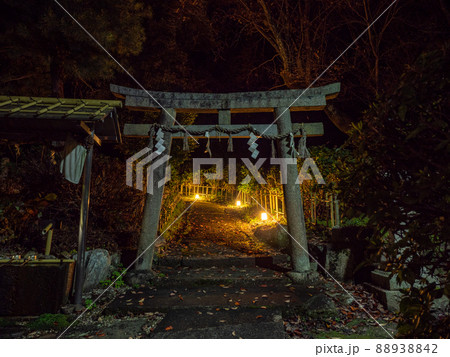 丹生酒殿神社 大銀杏のライトアップ 丹生酒殿神社 大銀杏のライトアップ 88938842