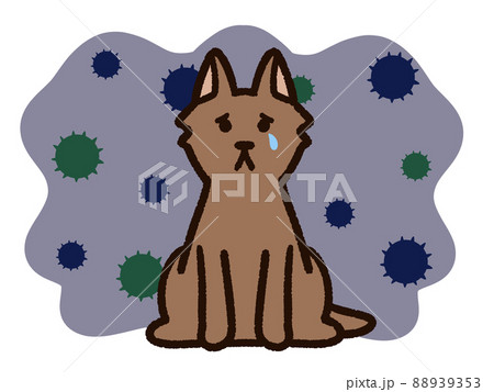 病気の悲し気な犬 病気の悲し気な犬 88939353