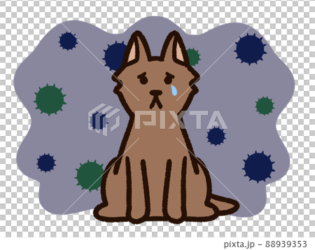 病気の悲し気な犬 病気の悲し気な犬 88939353