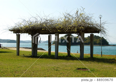 天草の海水浴場「カームビーチ」 白い砂浜と美しい海 天草の海水浴場「カームビーチ」 白い砂浜と美しい海 88939670