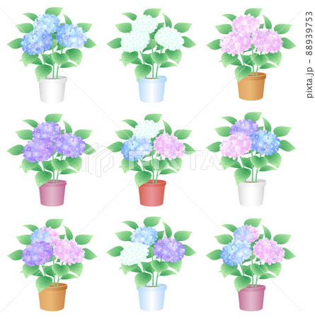 あじさい 紫陽花 鉢植え セット のイラスト素材 9753