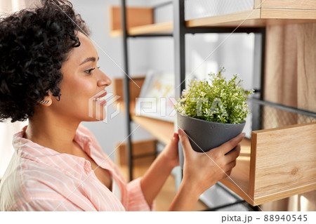 woman decorating home with flower or houseplant 88940545
