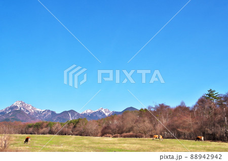 牧場 八ヶ岳 牧場 八ヶ岳 88942942