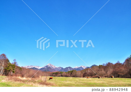 牧場 八ヶ岳 牧場 八ヶ岳 88942948