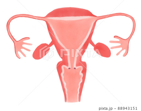 子宮頸がんの病期と進行度（0期） 88943151