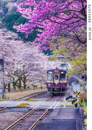 春のわたらせ渓谷鐵道：水沼駅 88943979