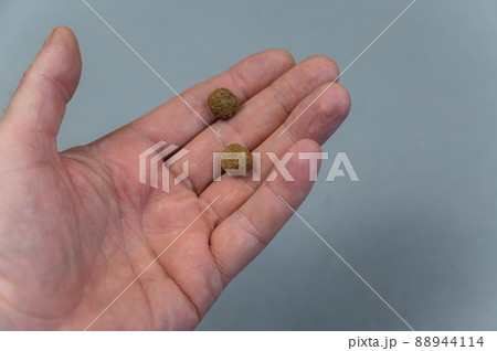 Two pellets of dry dog food lie in a man's palm. A mature man holds brown pellets in an open palm against a gray background. Pet supplies. Two pellets of dry dog food lie in a man's palm. A mature man holds brown pellets in an open palm against a gray background. Pet supplies. 88944114