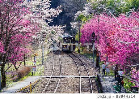 春のわたらせ渓谷鐵道:神戸駅 春のわたらせ渓谷鐵道:神戸駅 88944314