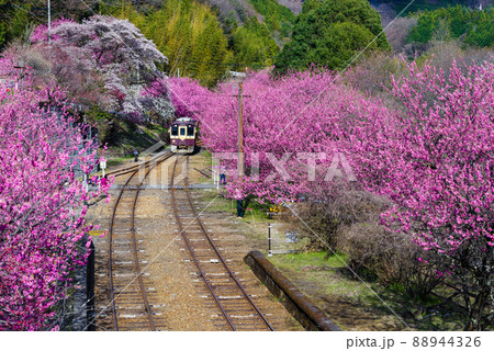 春のわたらせ渓谷鐵道:神戸駅 春のわたらせ渓谷鐵道:神戸駅 88944326