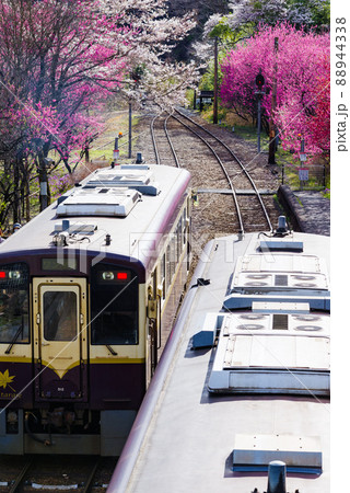 春のわたらせ渓谷鐵道:神戸駅 春のわたらせ渓谷鐵道:神戸駅 88944338