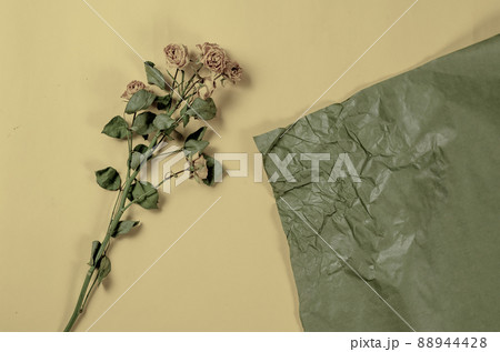 Fading flowers against a colored background. A branch of small roses and a crumpled green piece of paper against a beige background. Selective focus. 88944428