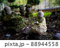 豊後半島　真木大堂古代公園の石仏 88944558