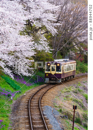 春のわたらせ渓谷鐵道 春のわたらせ渓谷鐵道 88944702