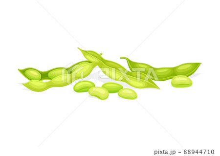 Soybean in Green Pod as Edible Seed of Legume Plant Vector Illustration 88944710