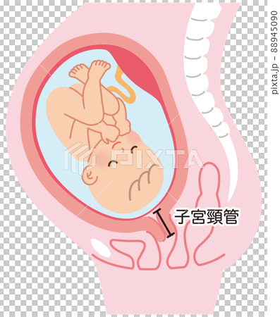媽媽在懷孕期間的機制 嬰兒出生 88945090