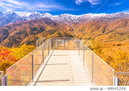 《長野県》紅葉最盛期の白馬村・三段紅葉 88945208