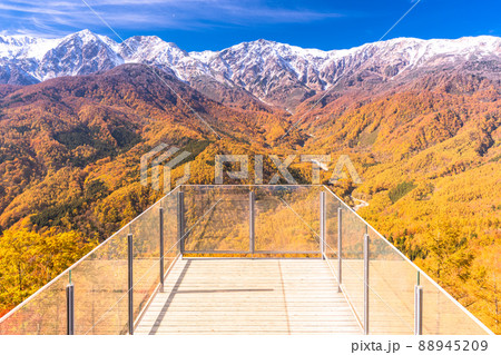 《長野県》紅葉最盛期の白馬村・三段紅葉 《長野県》紅葉最盛期の白馬村・三段紅葉 88945209