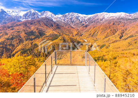 《長野県》紅葉最盛期の白馬村・三段紅葉 《長野県》紅葉最盛期の白馬村・三段紅葉 88945210