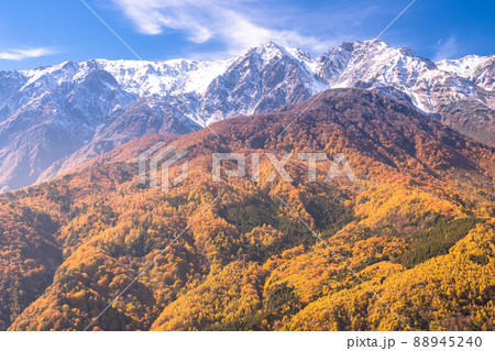 《長野県》紅葉最盛期の白馬村・三段紅葉 《長野県》紅葉最盛期の白馬村・三段紅葉 88945240