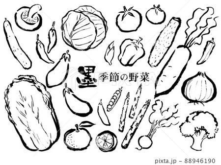 墨絵　野菜セット 88946190