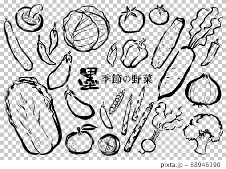 墨絵　野菜セット 88946190