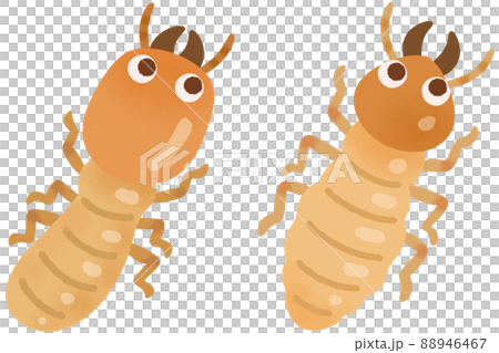 Yamato termites and Formosan subterranean termites (military ants) 88946467