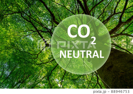 Carbon neutral concept. CO2 neutral in circle logo on green tree in the forest. Environment day and earth day background. Eco friendly. Ecology environment and conservation. Go green business concept. 88946753