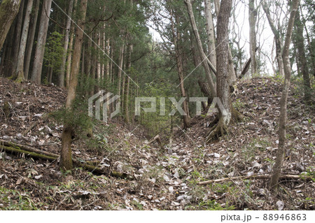 岩櫃城跡　竪堀 88946863