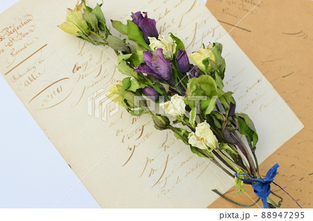 クリスマスローズのドライフラワーの花束  88947295