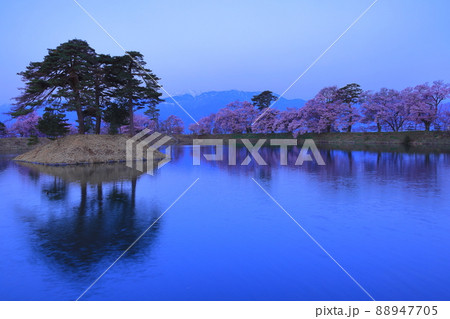 （長野県）井上井月句碑（六道の堤）の桜　早朝 88947705