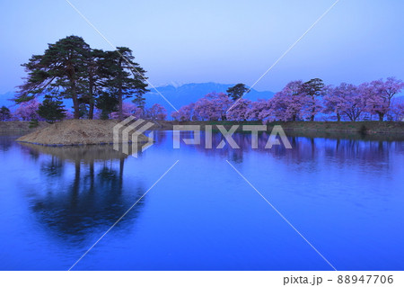 （長野県）井上井月句碑（六道の堤）の桜　早朝 88947706