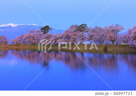 （長野県）井上井月句碑（六道の堤）の桜　早朝 88947721
