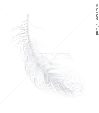 Realistic Feather Illustration 88947910